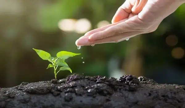 Can Humic Acid Powder Be Used in All Types of Soil?