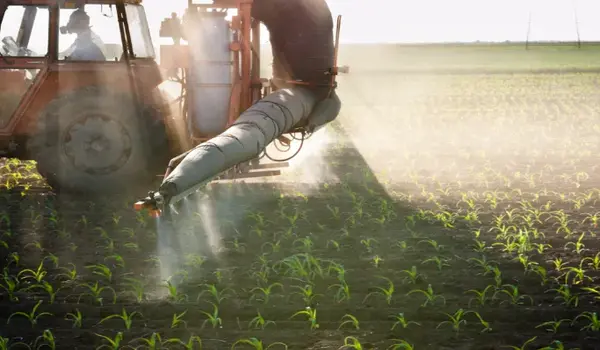 What Crops Can Benefit from NPK 19:19:19 Fertilizer?