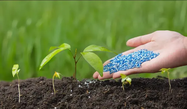 Can NPK 19:19:19 Fertilizer Be Used on All Soil Types?