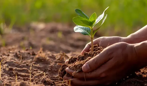 How Can Farmers Improve Soil Structure Using Humic Factory Products?