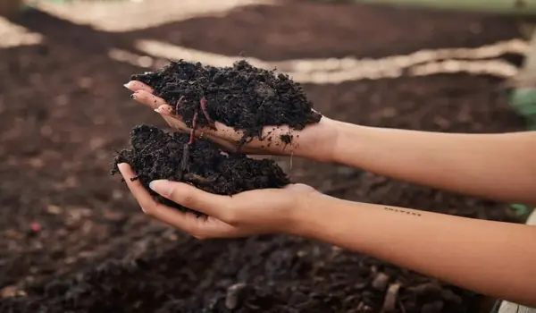 How Does Composting Contribute to Organic Farming Success?