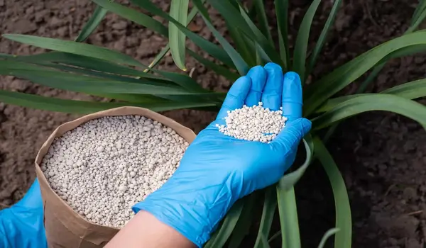 How does Humic Factory’s NPK 20:20:20 fertilizer support balanced plant growth across different crop types?