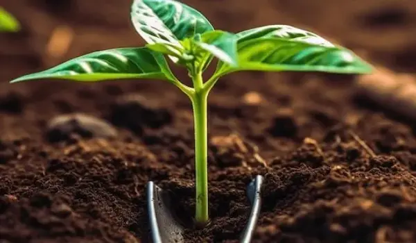 What are the environmental benefits of using Humic Factory's organic bio-fertilizers compared to conventional fertilizers?