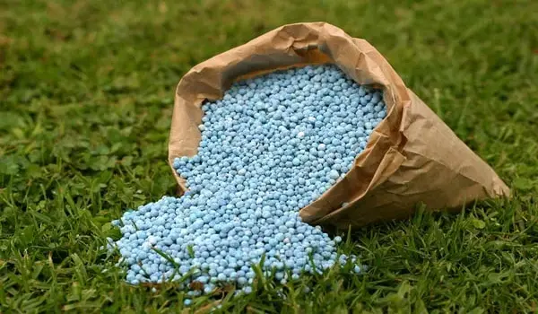 What is the Difference Between Slow-Release and Fast-Release NPK Fertilizers?