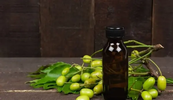 क्या नीम तेल (neem oil) खाद्य फसलों पर उपयोग के लिए सुरक्षित है?