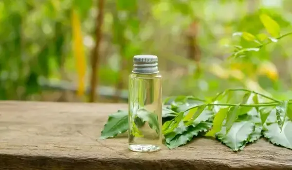 नीम तेल (neem oil) को बगीचे में उपयोग के लिए कैसे पतला करें?