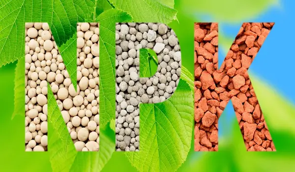 एनपीके 20-20-20 (npk 20 20 20)  उर्वरक का उपयोग करने के क्या लाभ हैं?