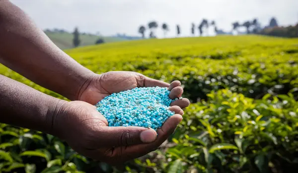माइक्रोन्यूट्रिएंट मिक्सचर उर्वरक (micronutrient mixture fertilizer) का सही उपयोग किस प्रकार से फसल की गुणवत्ता बढ़ाता है?