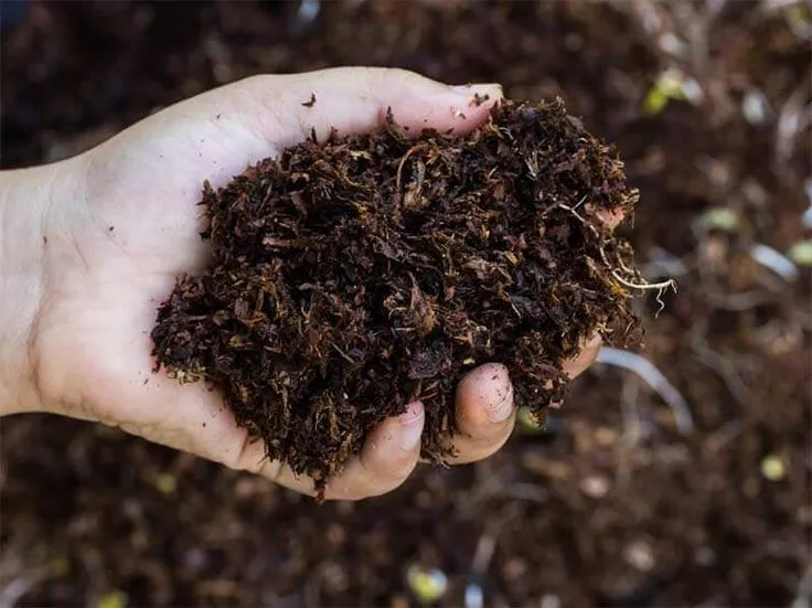 Organic Fertilizer provides a sustainable, eco-friendly solution that enriches the soil, enhances plant health, and ensures long-term agricultural productivity