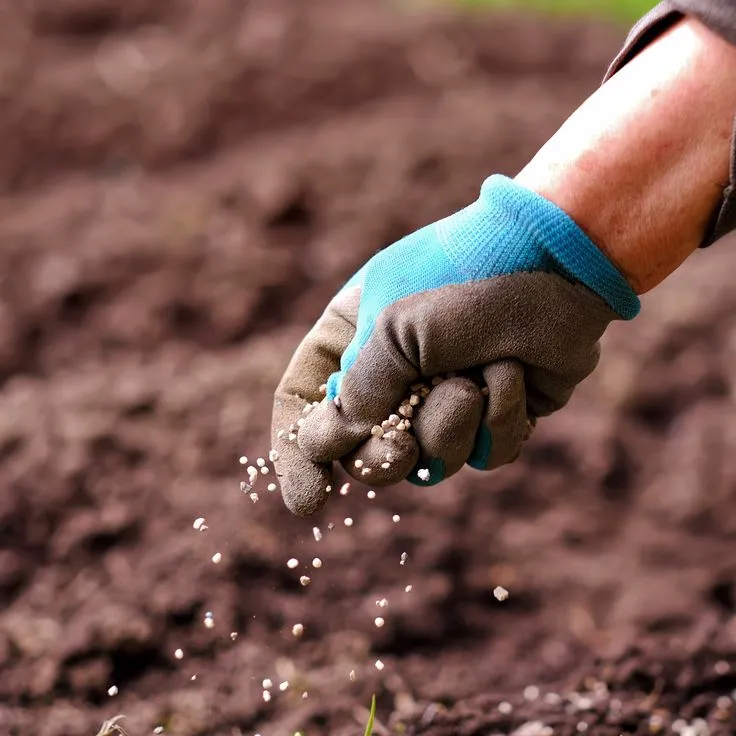 One of the most trusted and widely used fertilizers is NPK 19 19 19