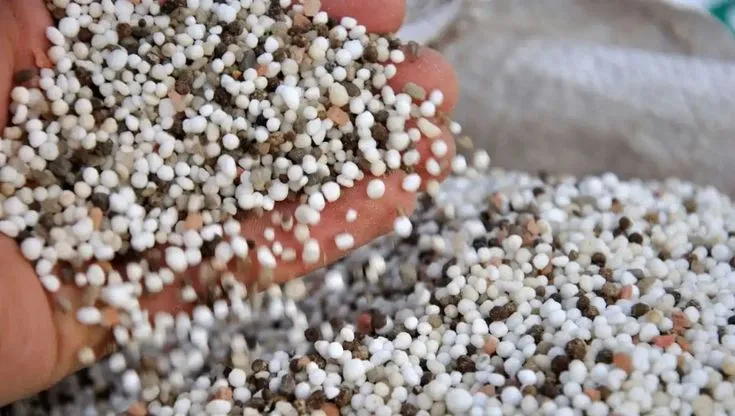 mycorrhizal biofertilizer is a kind of superpower for your soil