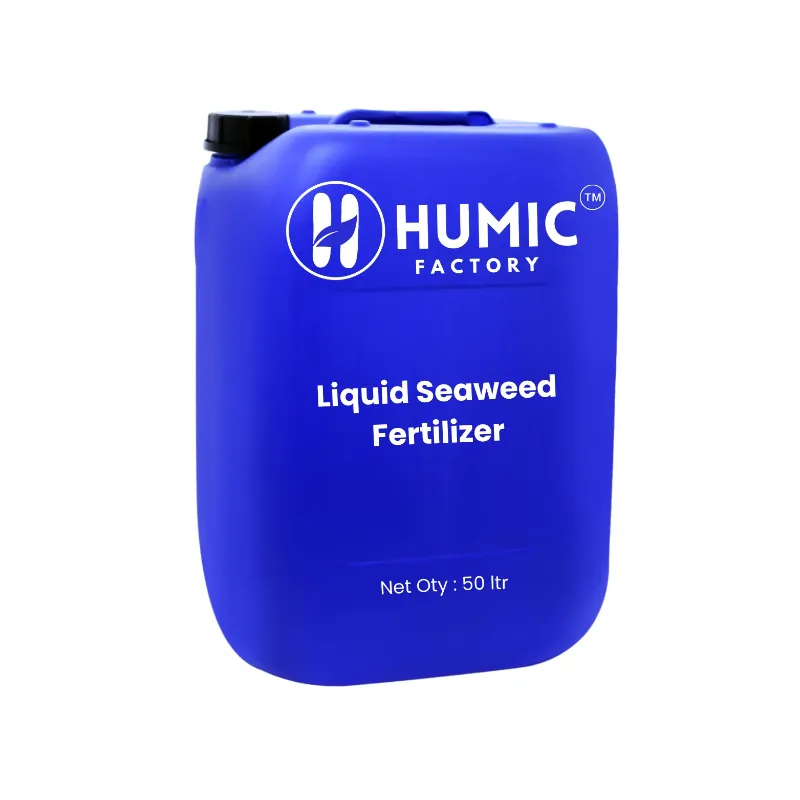 Liquid Seaweed Fertilizer at Best Price – Agriculture Grade – 50 ltr. Drum Packing