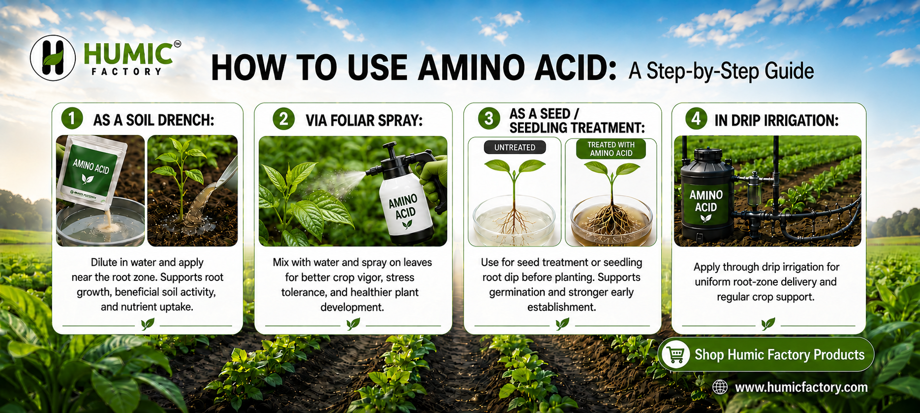 Amino Acid