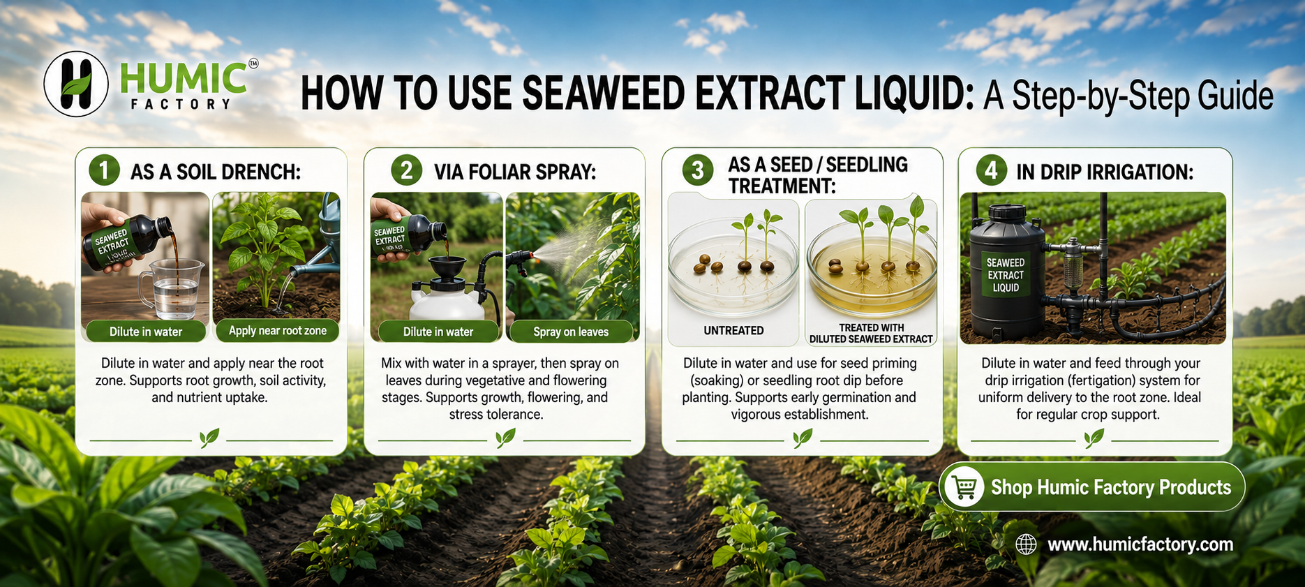 Seaweed Extract