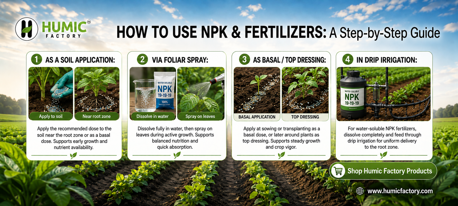 NPK & Fertilizers