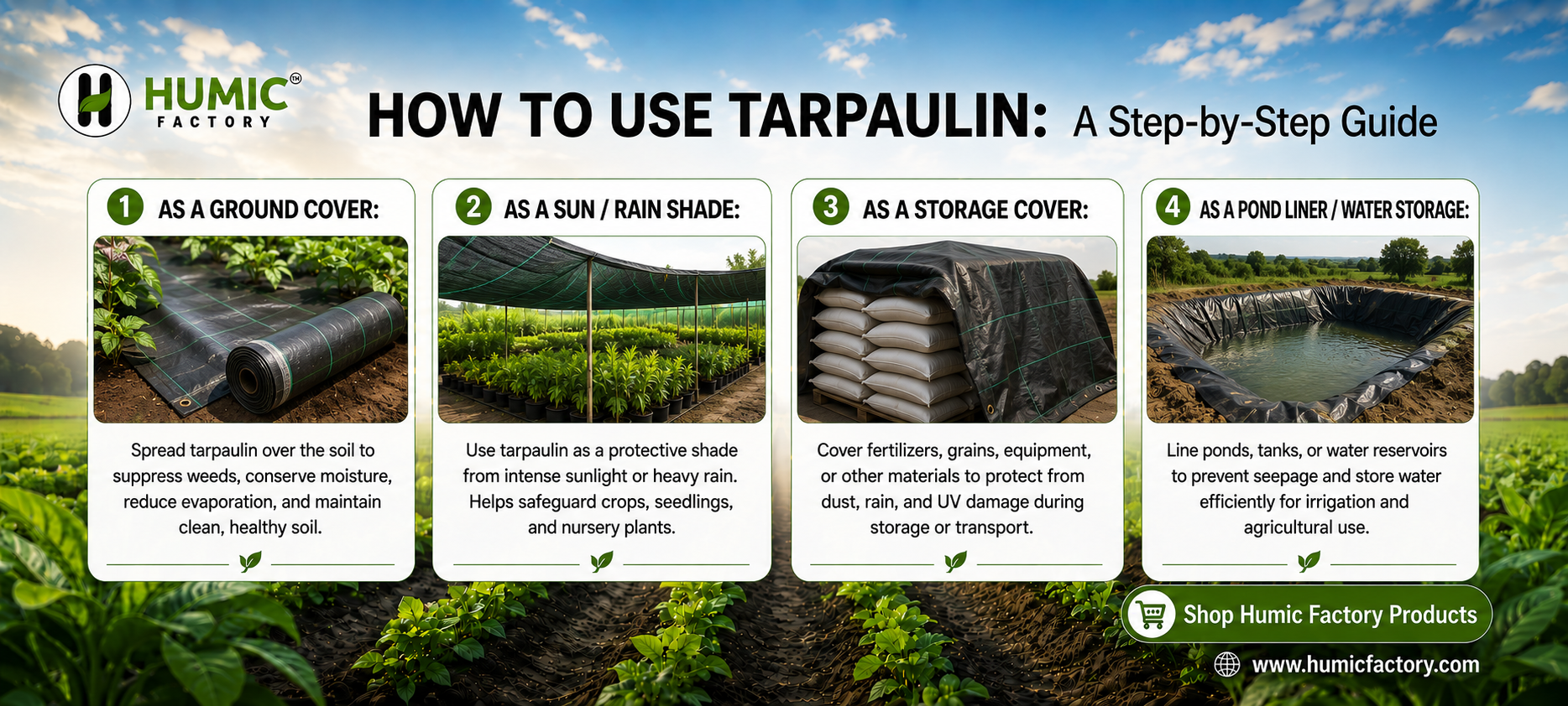 Tarpaulin